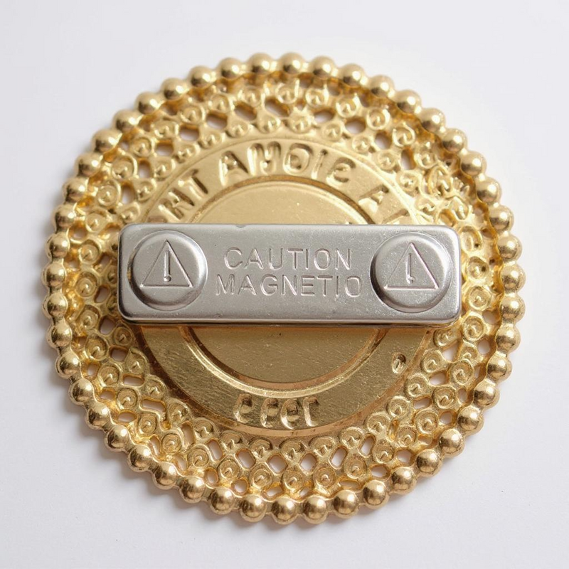 DST NORTH DALLAS SUBURBAN ALUMNAE CHAPTER PEARL BROOCH