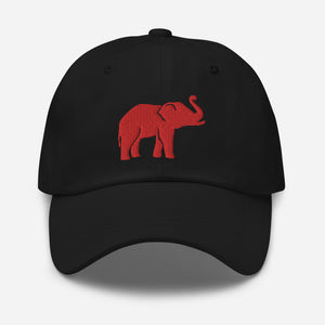 Embroidered Elephant Hat