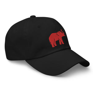 HK Elephant Embroidered Hat